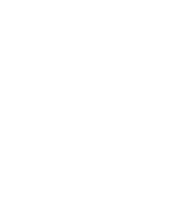 Icono 5