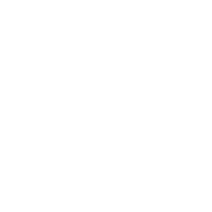 Icono 4