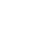 Icono 2